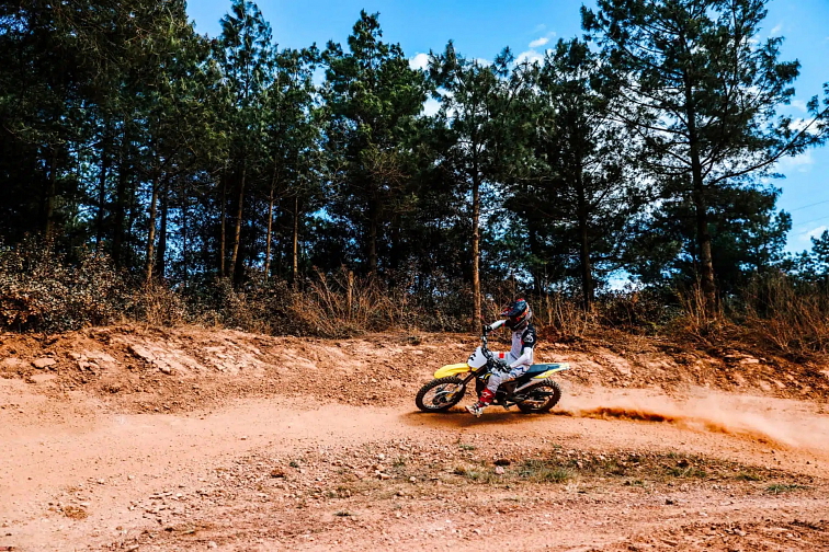 SUR RON STORM Bee 2024