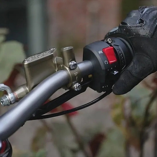 SUR RON STORM Bee 2024