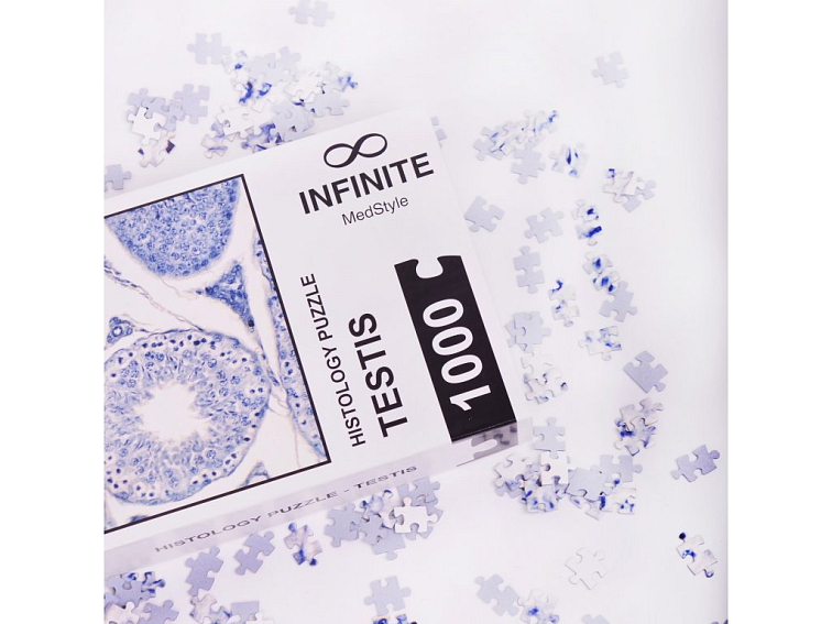 Histologické puzzle INFINITE - varlata