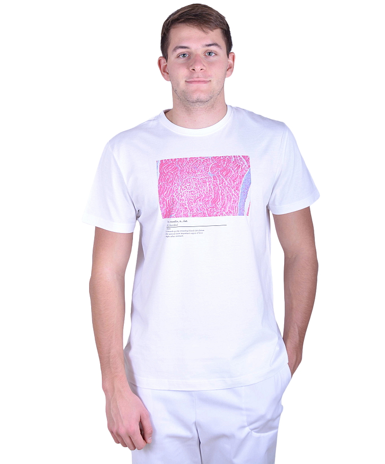 Histologické tričko pánské - srdce