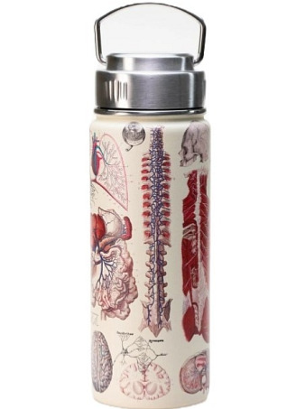 Ocelová láhev 500 ml - anatomie člověka
