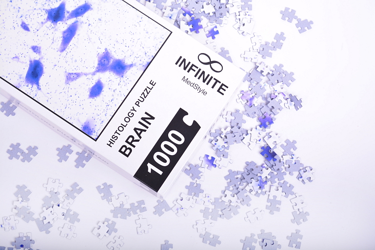 Histologické puzzle INFINITE - mozek