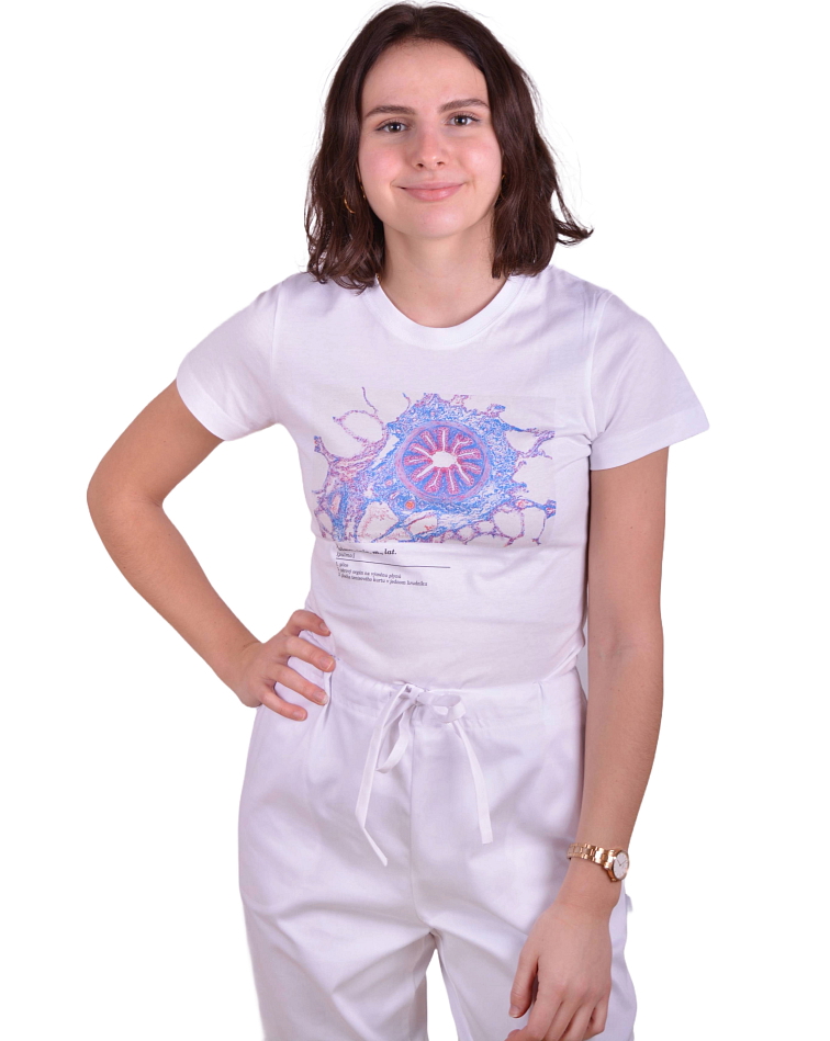 Histologické tričko dámské anglické - plíce