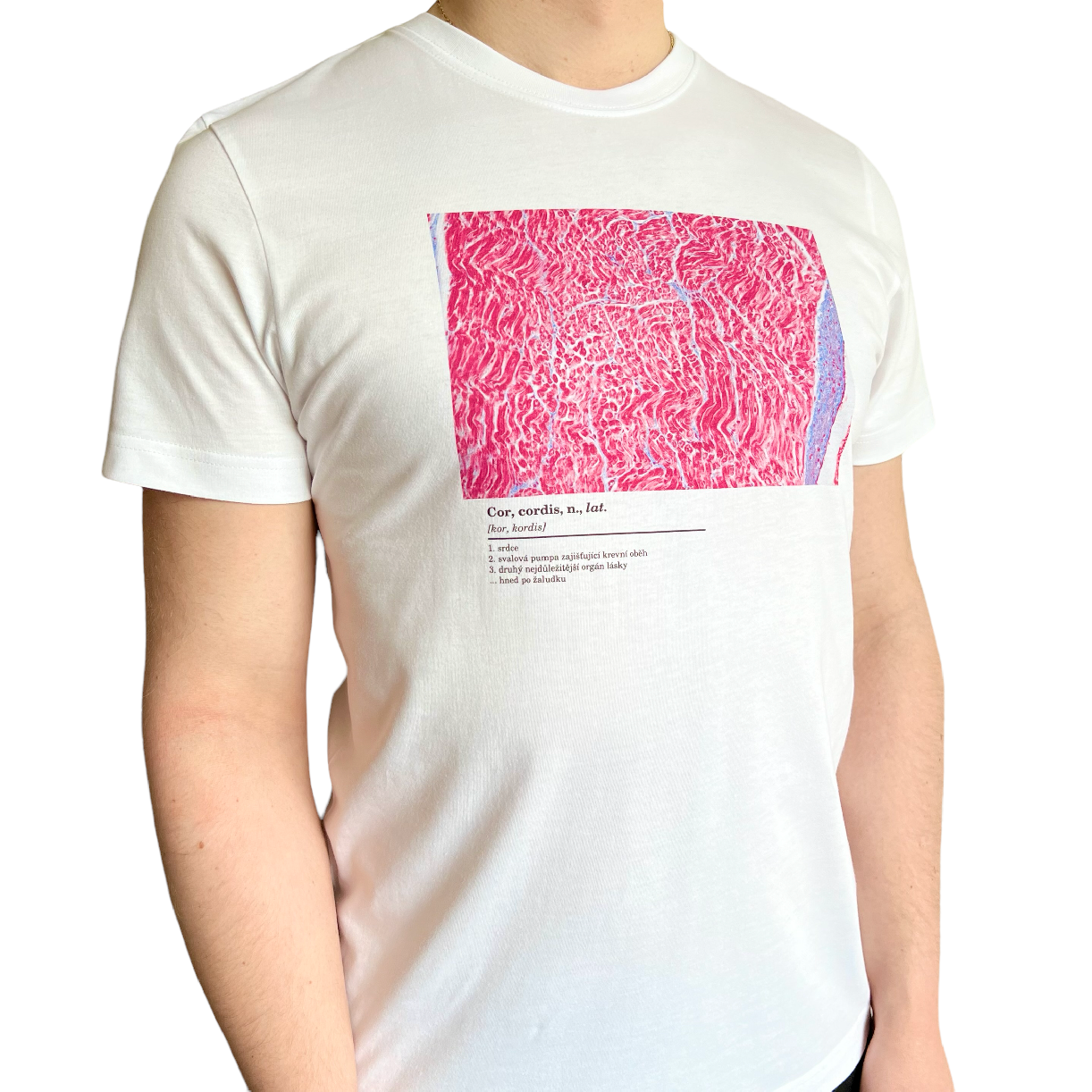 Histologické tričko pánské - srdce