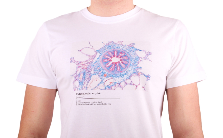 Histologické tričko pánské - plíce