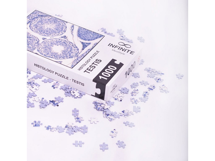 Histologické puzzle INFINITE - varlata