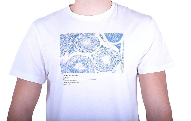 Histologické tričko pánské anglické - varlata