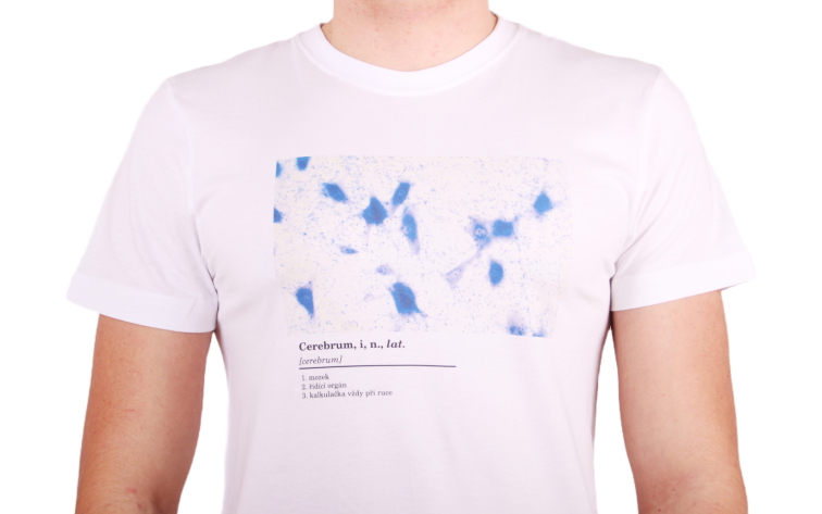 Histologické tričko pánské - mozek