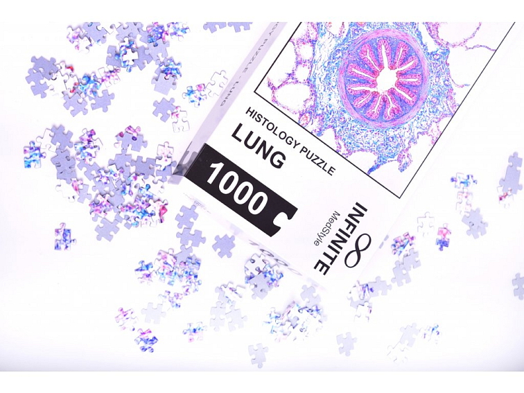 Histologické puzzle INFINITE - plíce