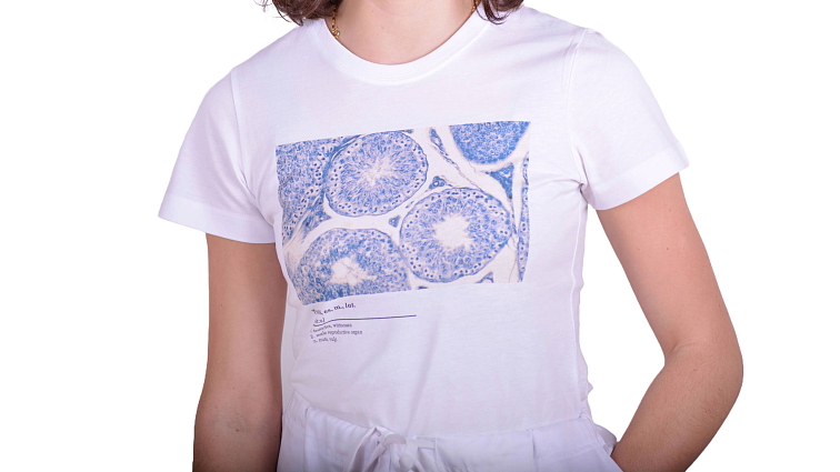 Histologické tričko dámské - varlata