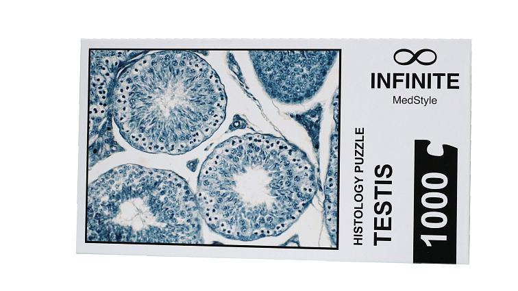 Histologické puzzle INFINITE - varlata
