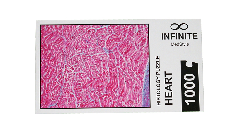 Histologické puzzle INFINITE - srdce