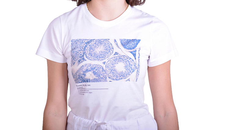 Histologické tričko dámské - varlata