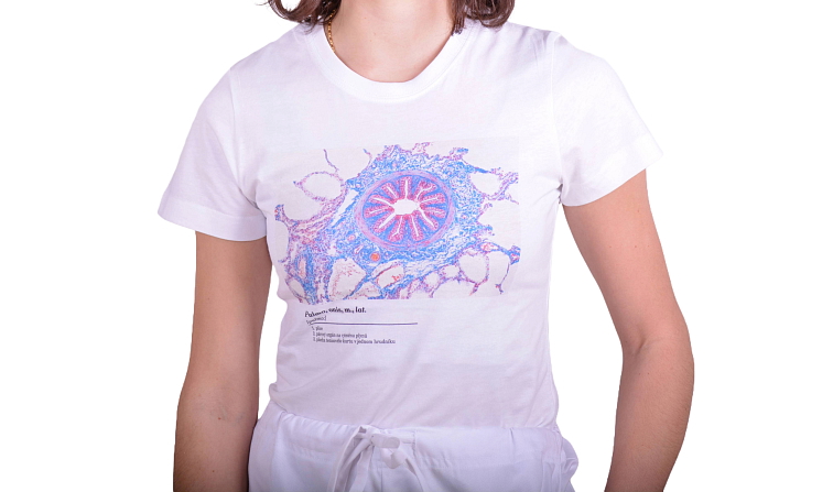 Histologické tričko dámské anglické - plíce