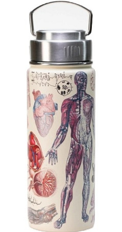 Ocelová láhev 500 ml - anatomie člověka