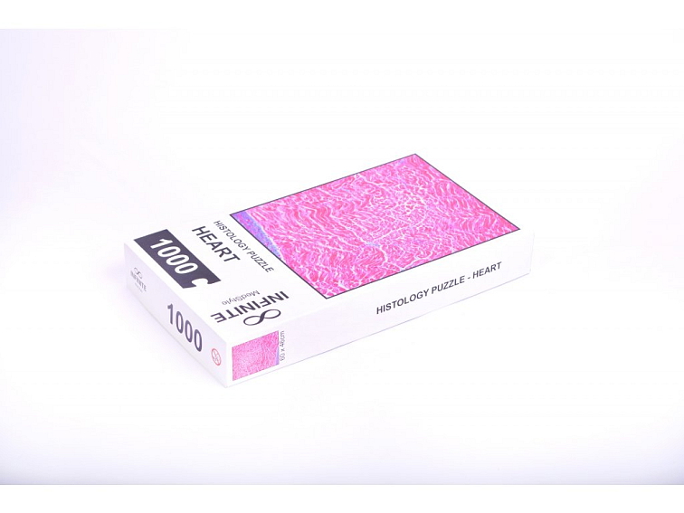 Histologické puzzle INFINITE - srdce