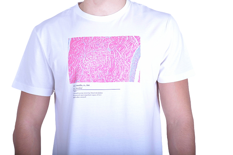 Histologické tričko pánské anglické - srdce
