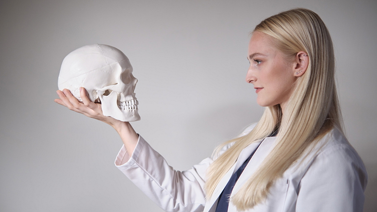 Mozek s arteriemi a nervy - anatomický model