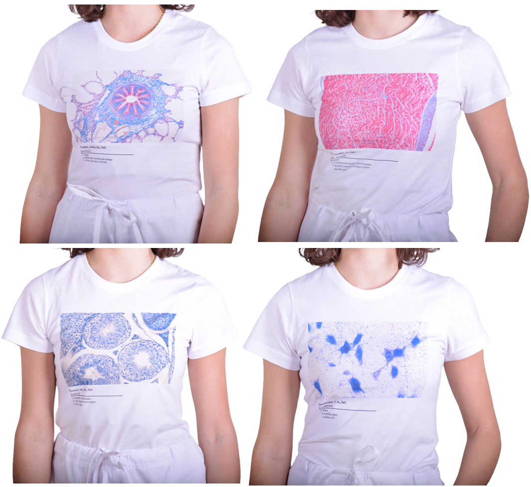 Histologické tričko dámské anglické - srdce