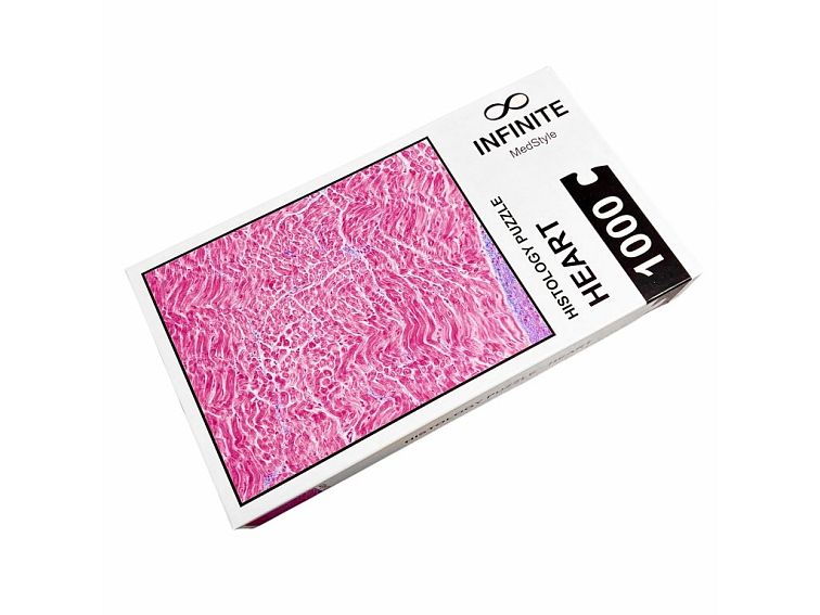 Histologické puzzle INFINITE - srdce