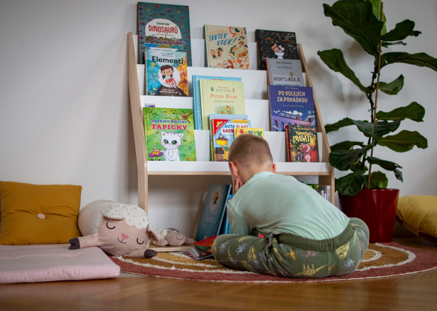 Dětská dřevěná montessori knihovna