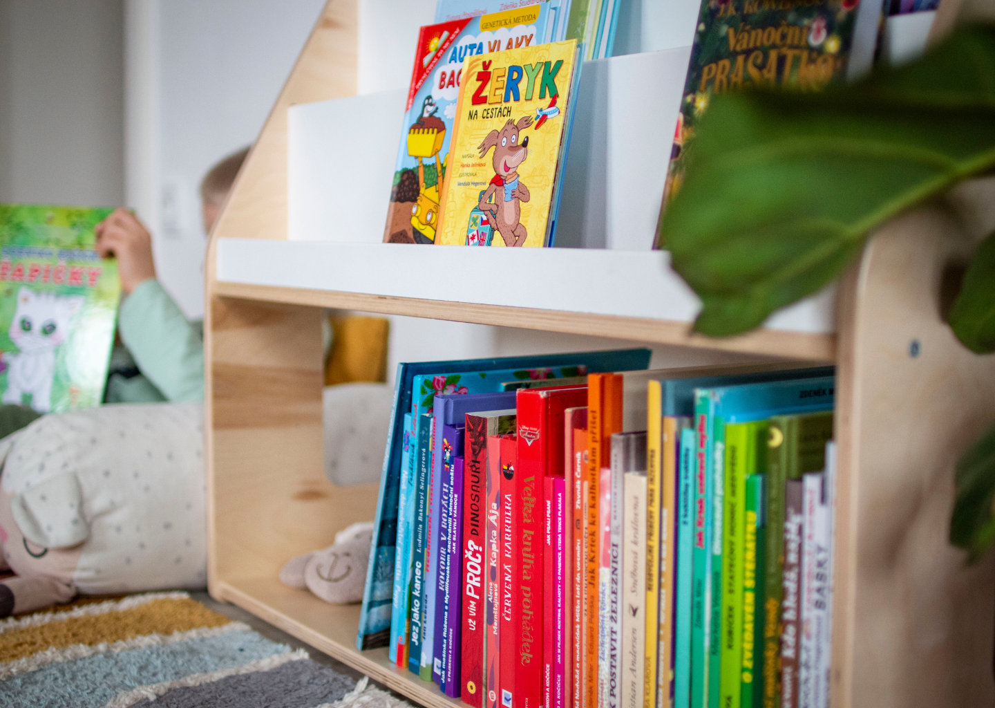 Dětská dřevěná montessori knihovna