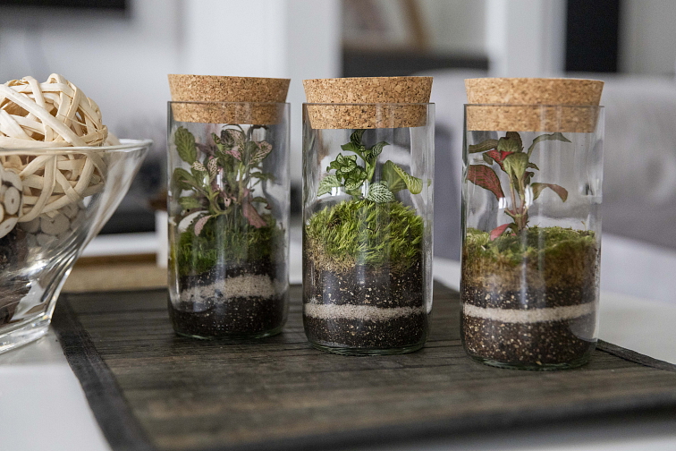 Mechárko Upcyklo střední