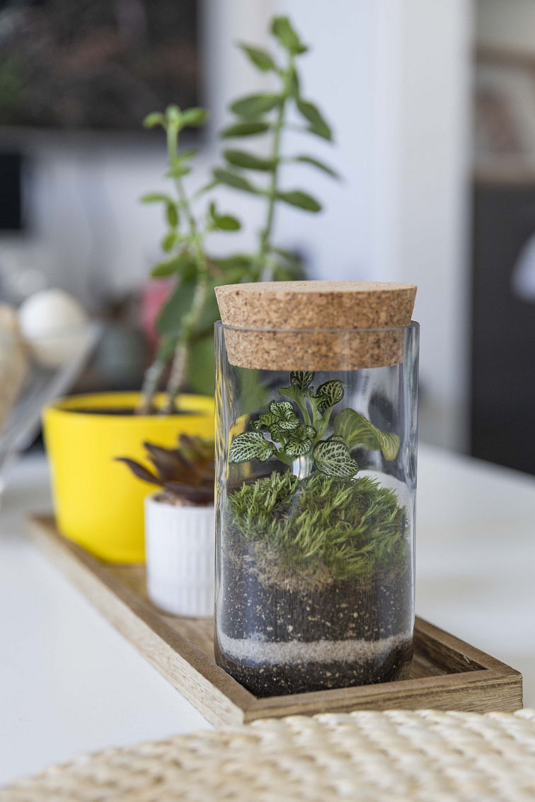 Mechárko Upcyklo střední