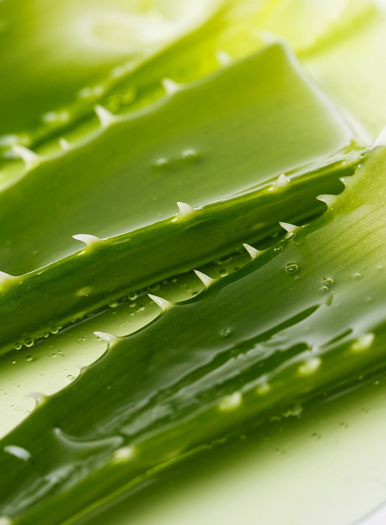 Jessica ZenSpa intenzivní hojivý krém na paty Intense Heel Repair Creme