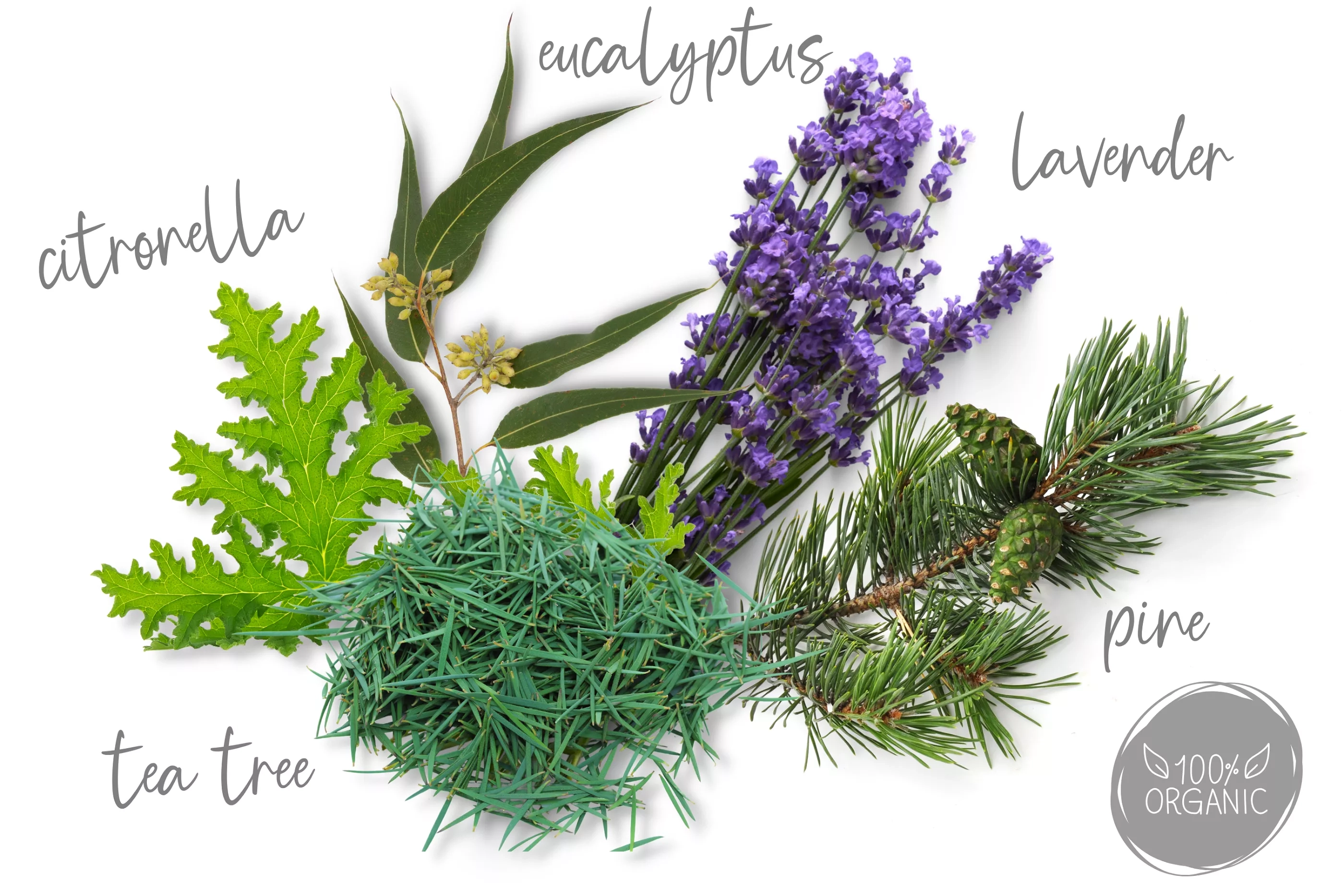 Natasha Rollon Volně dýchám 10 ml