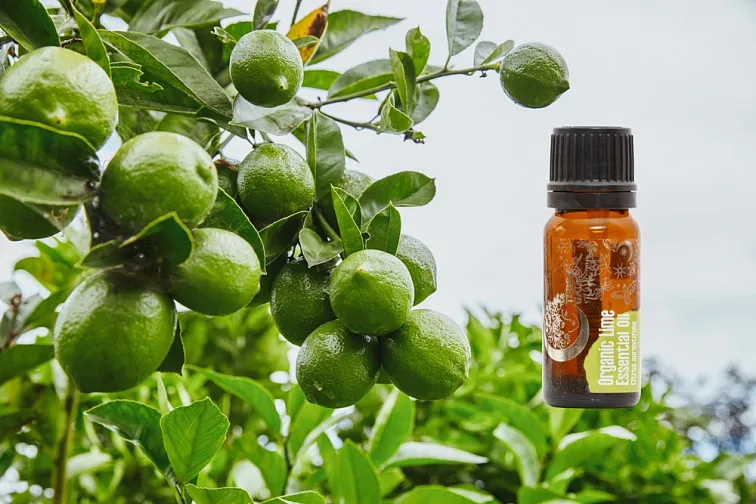 Natasha Bio esenciální olej Limeta