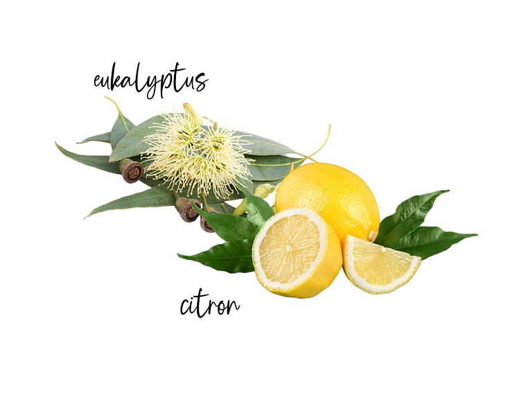 Natasha Osvěžovač vzduchu Svěží dobré ráno