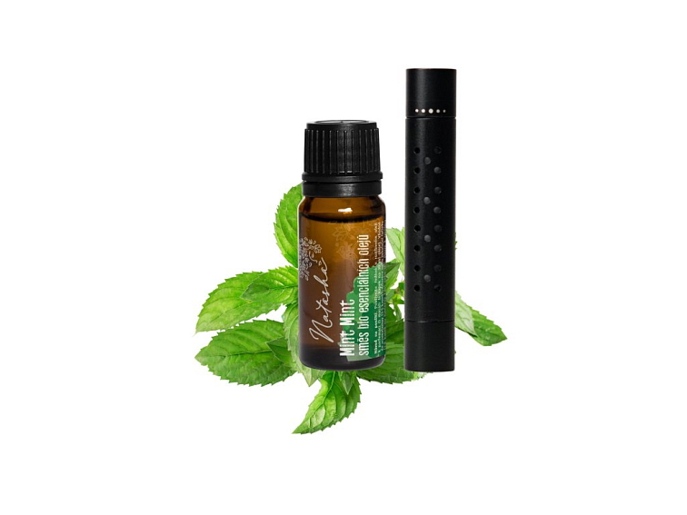 Natasha Aroma sada difuzér Mint Mint