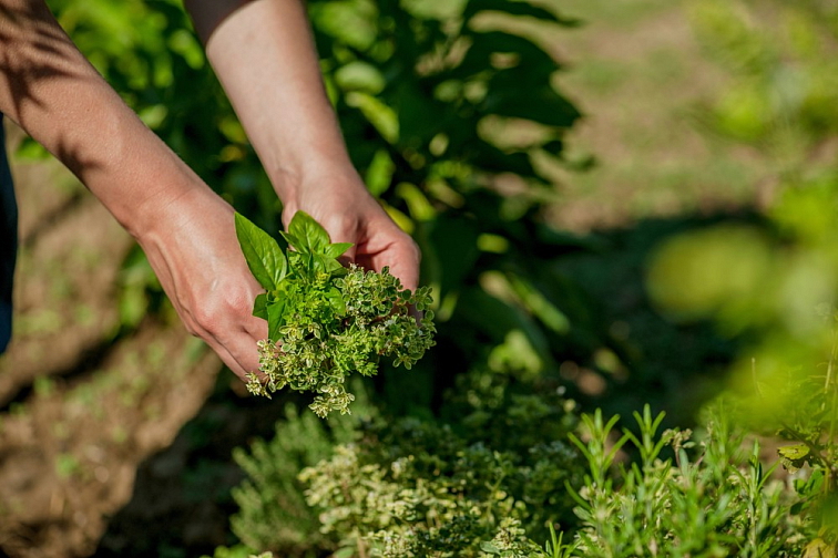 Natasha Osvěžovač vzduchu Sladké sny