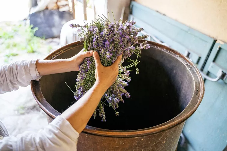 Natasha Rollon Klid v duši 10ml