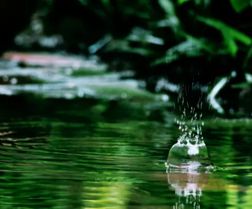 Natasha Gel do myčky z kaštanů Citronela koncentrát