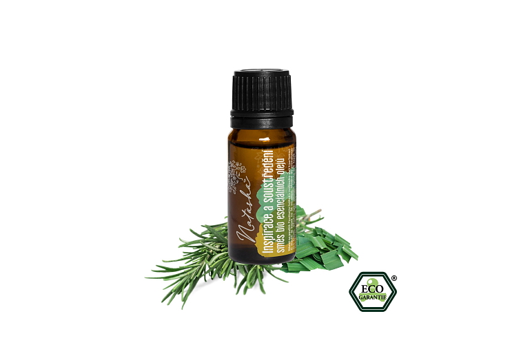 Natasha Dárková sada Soustředění za volantem