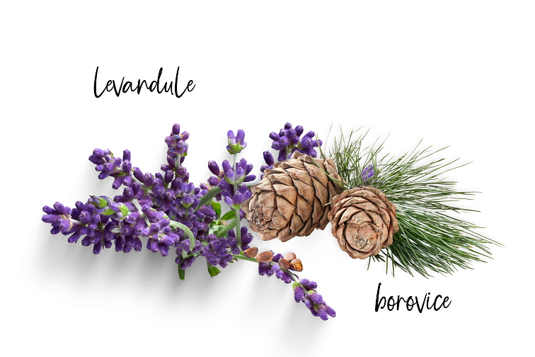 Natasha Osvěžovač vzduchu Sladké sny