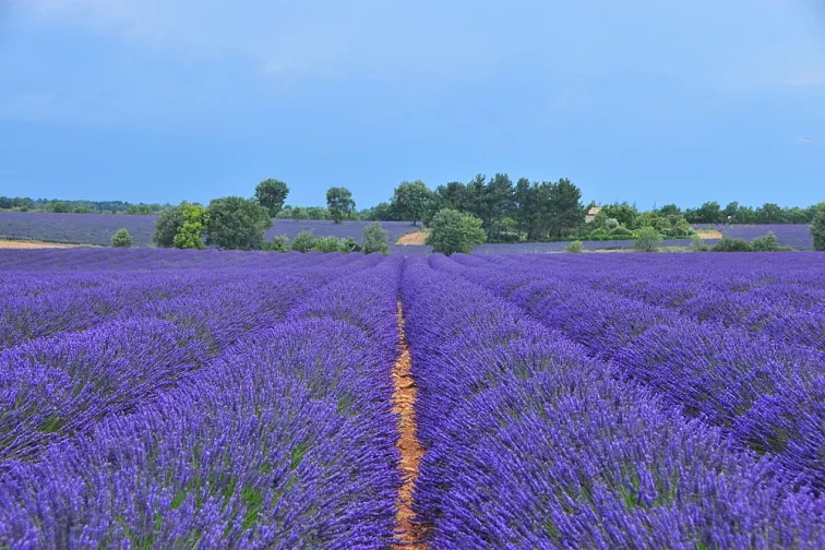 Natasha Rollon Klid v duši 10ml