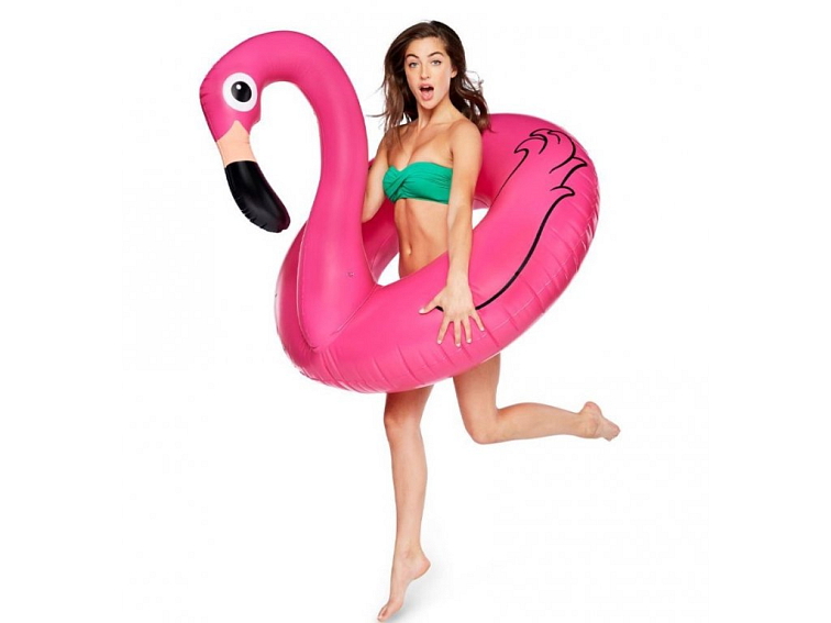 Nafukovací kruh Plameňák