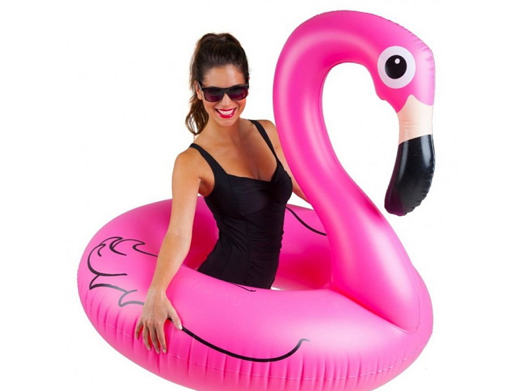 Nafukovací kruh Plameňák