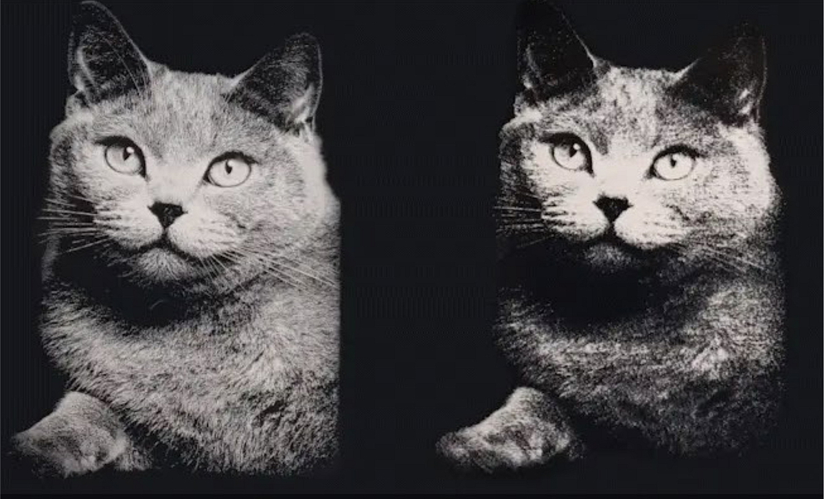 BLATON X PRO - Fiber laser 30W