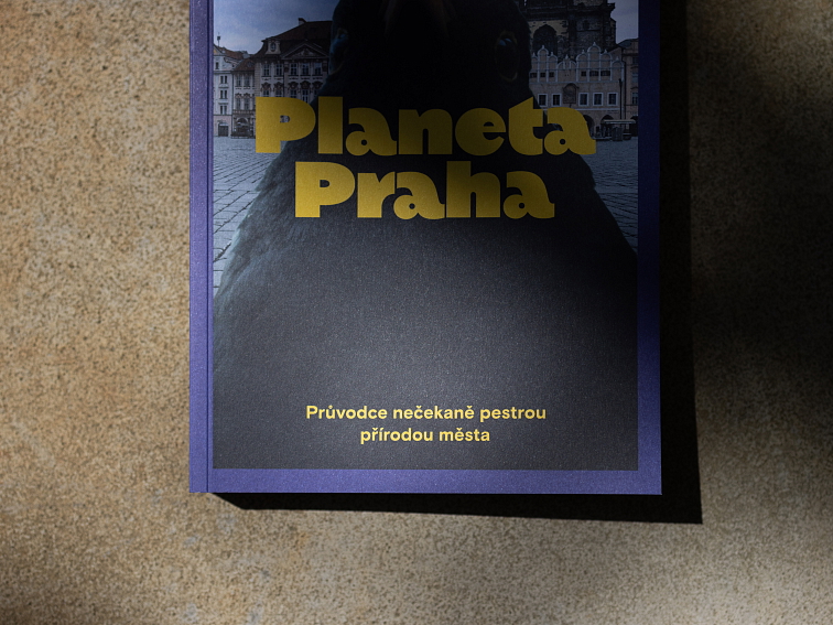 Knihy, které inspirují