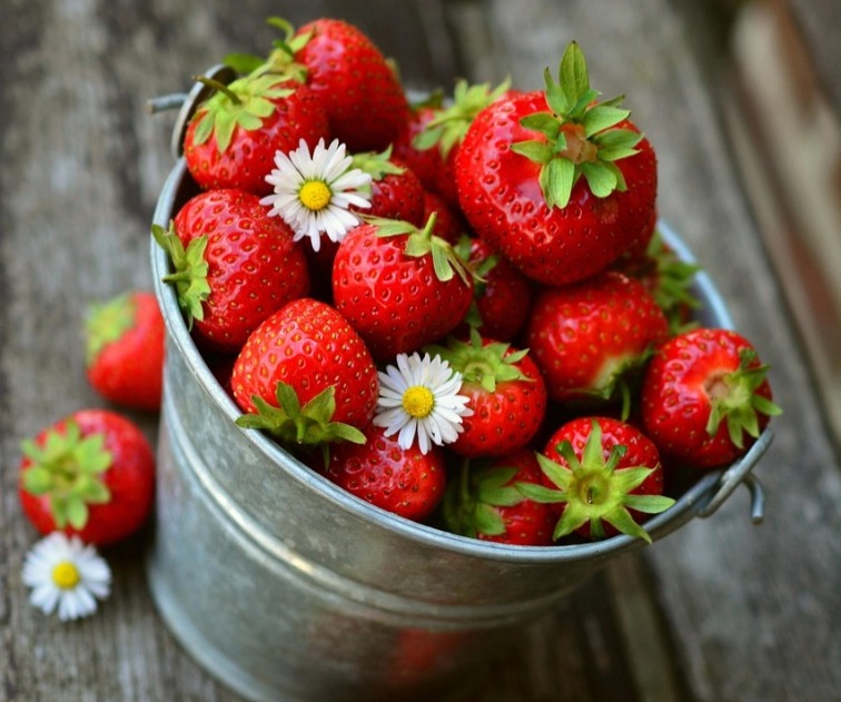 Cheese cake, 8 porcí