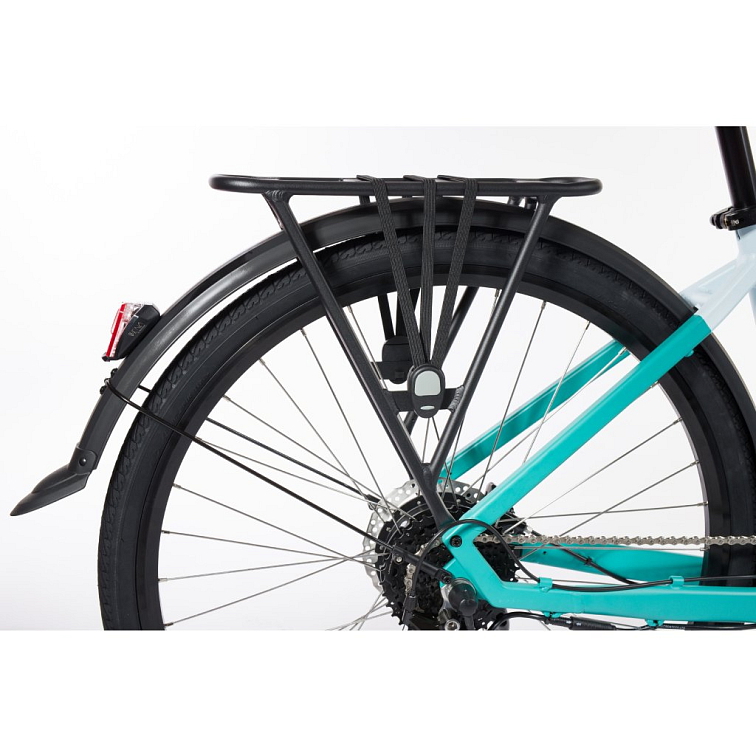 Viola petrolejově/světle modrá