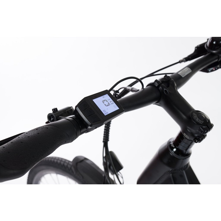 Viola žluto/černá