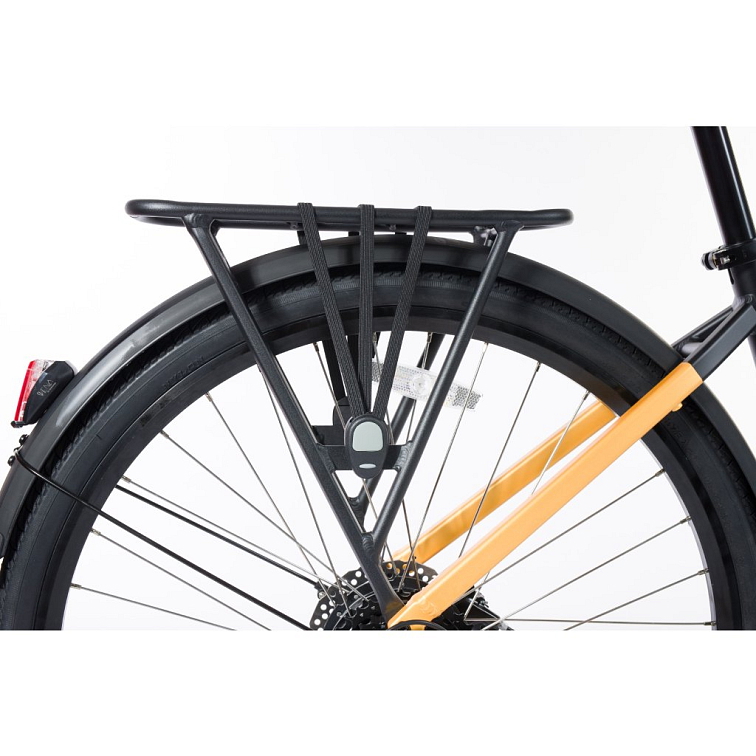 Viola žluto/černá