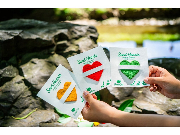 SEED HEARTS