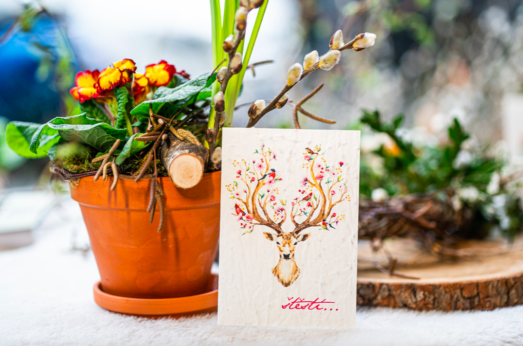 ROSTOUCÍ PAPÍR - Přání