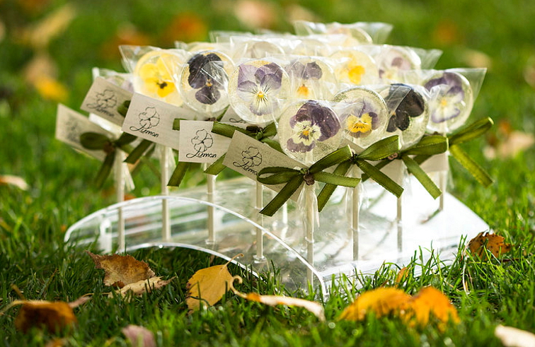 KVĚTINOVÁ LÍZÁTKA